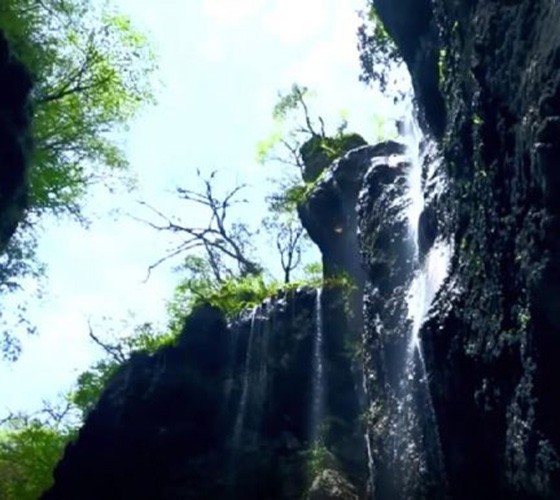 青山綠水，白龍江畔江畔息白鷺，兩岸綠橄欖入眼的都是純樸自然枝上花開(kāi)，春來(lái)水暖魚(yú)蝦戲水，鳥(niǎo)語(yǔ)花香心中充滿(mǎn)著舒暢之感祥宇生態(tài)產(chǎn)業(yè)園，位于隴南市武..
